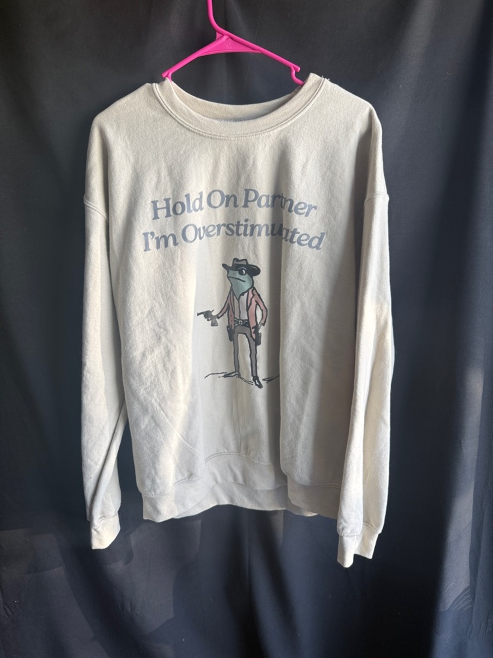 Gildan Cream Crewneck Sweatshirt with Western Frog Graphic